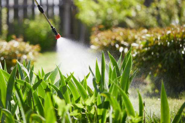 24/7 Emergency Wasp Removal experts in Kernersville, NC