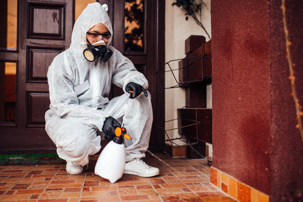 Reliable Wasp Removal contractor in Kernersville, NC by Show Me Pest Control